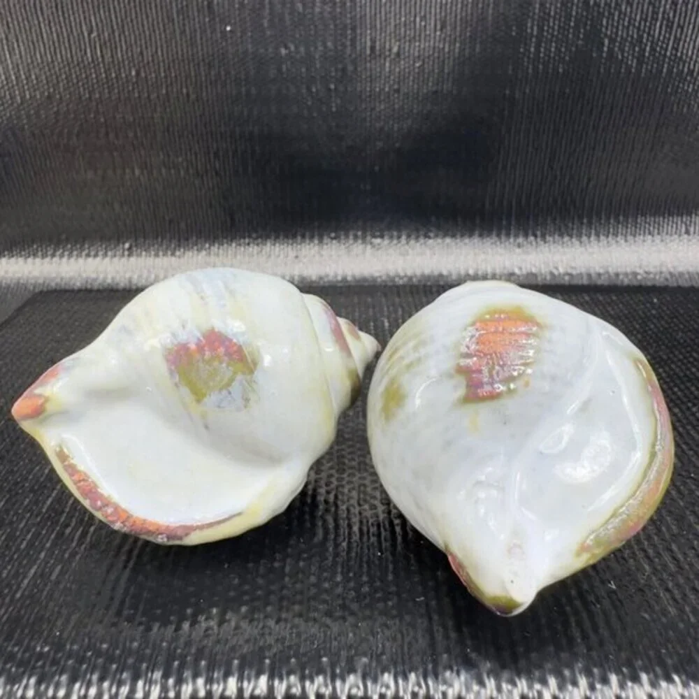 Hand Made Card Holder Stoneware Shell Conch Set 2 Decorative Hand Crafted Figure